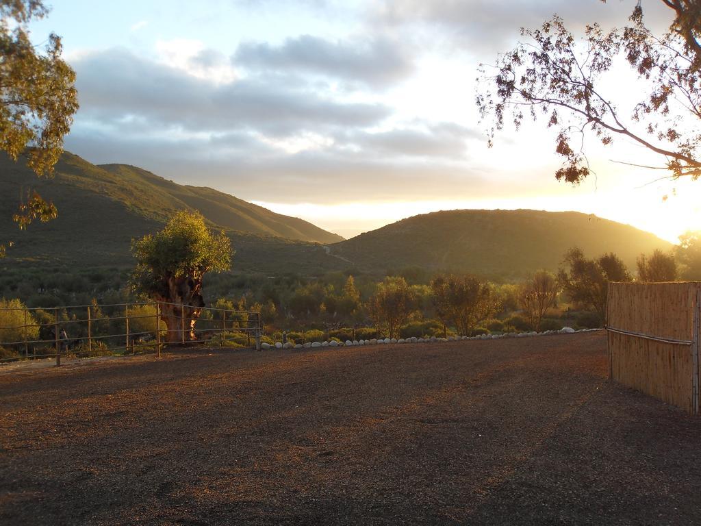 Orchard Cottage McGregor Buitenkant foto